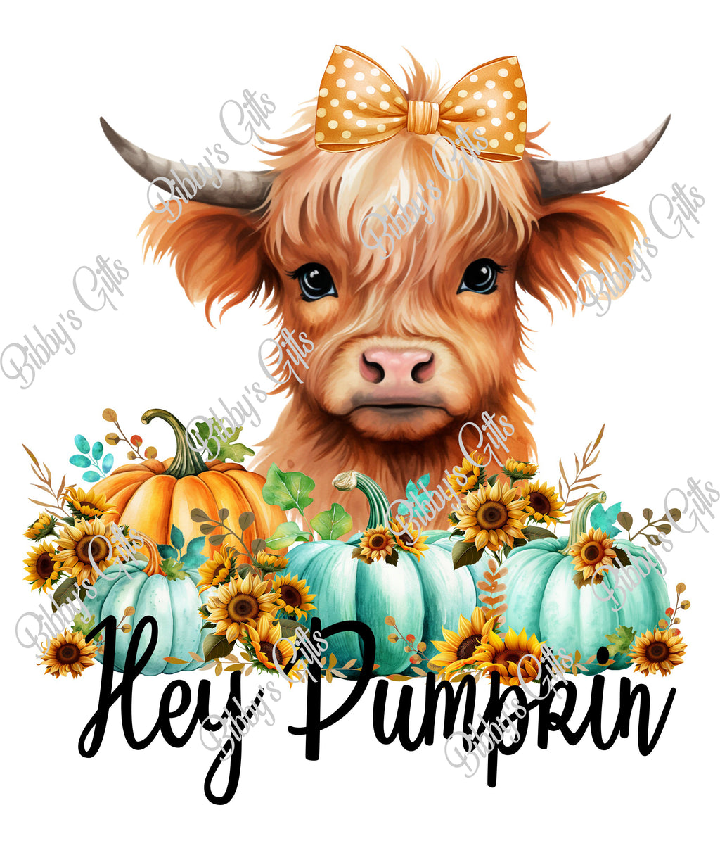 Hey Pumpkin-Highland Cow-PNG Digital Download